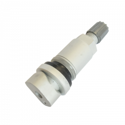 Replacement Valves for TG1B