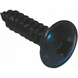 Self Tapping Screws