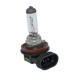 Top-Up Bulbs